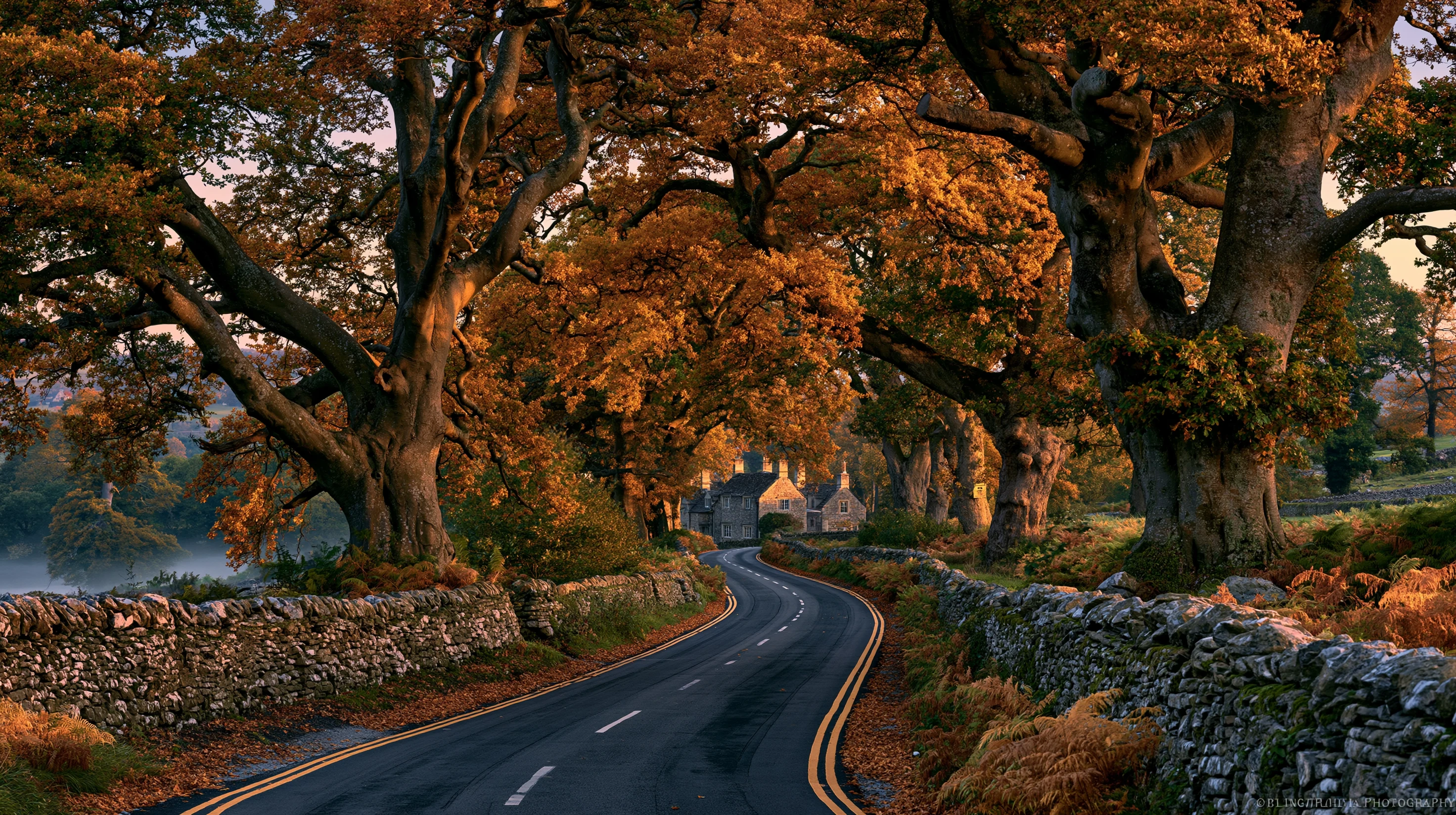 A Cotswolds country lane in autumn, leading toward a stone village in golden hour.